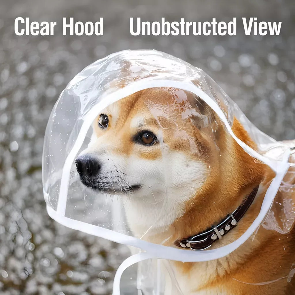 EVA Rain Poncho for Dogs