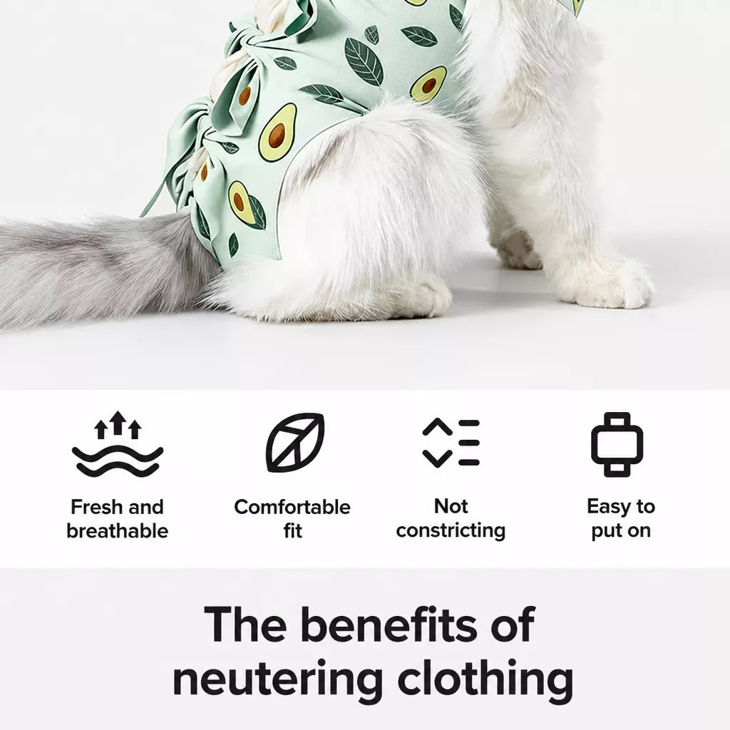 Cat Recovery Suit with Breathable Birdseye Mesh