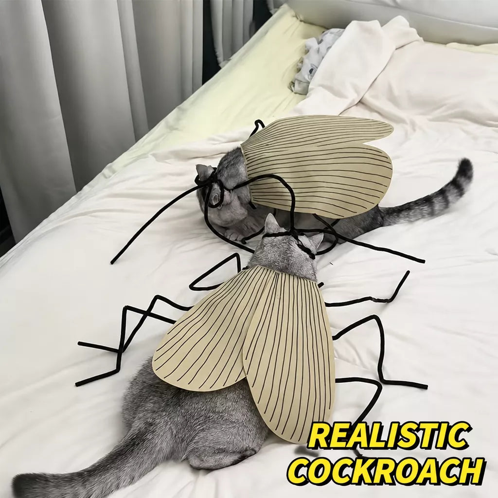 Cockroach-Inspired Cat Costume with Matching Collar