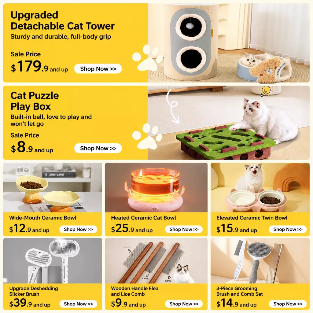 Ceramic Cat Water Bowl