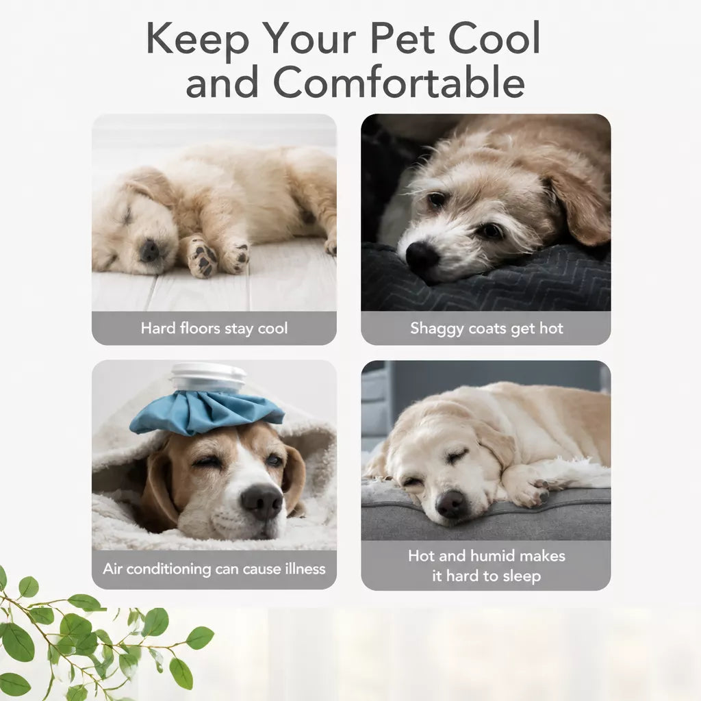 Washable Pet Bed for Dogs with Removable Cover
