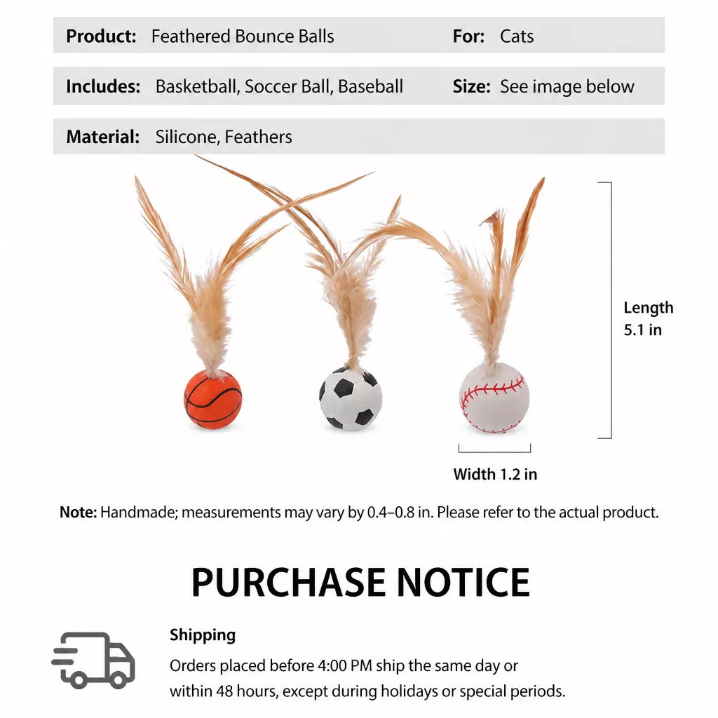 Cat Ball Toy with Feather Details