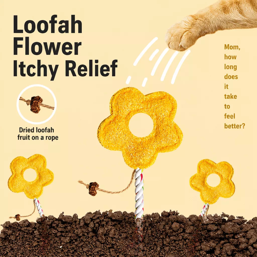 Cat Toy Collection with Natural Loofah and Catnip