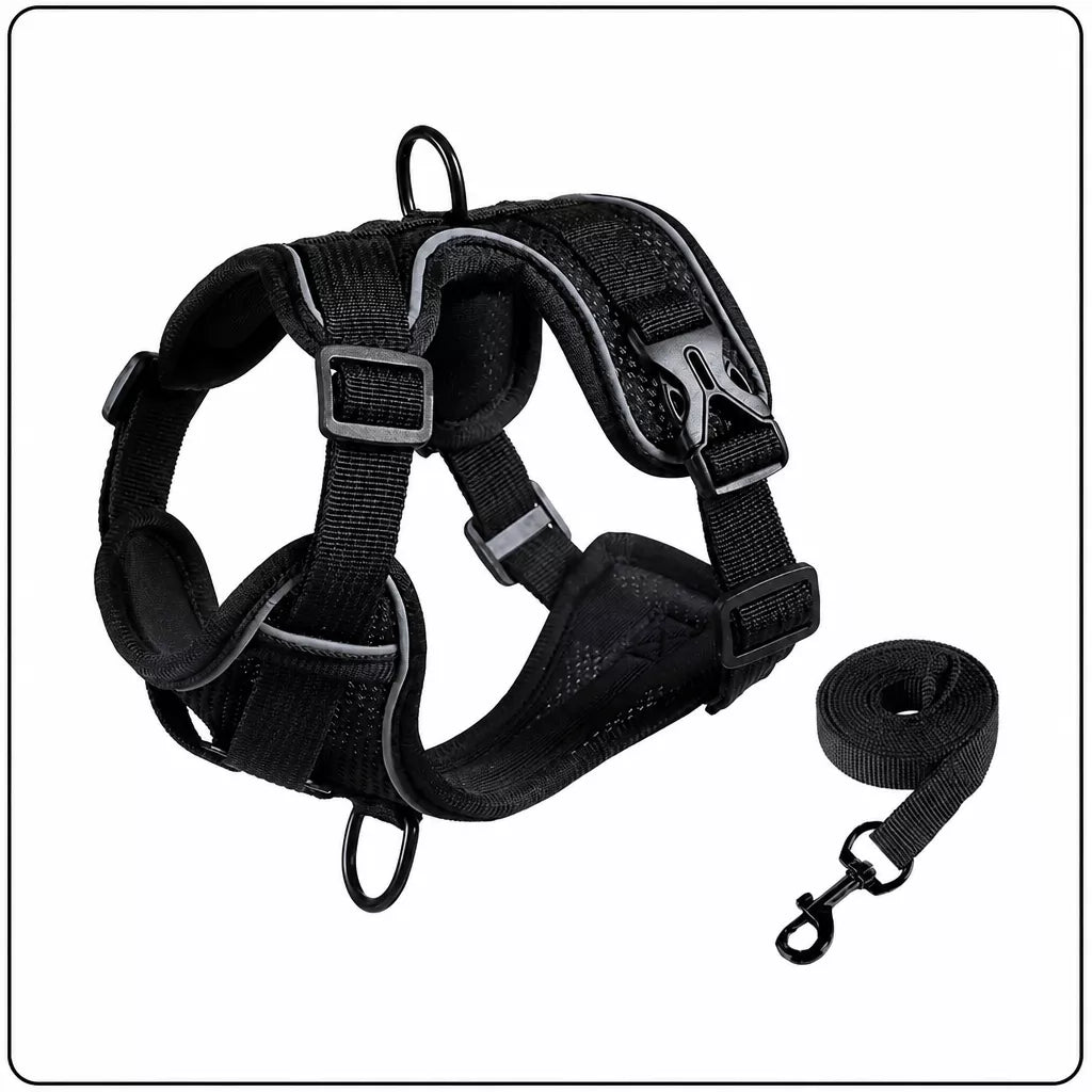 Adjustable Cat Harness and Leash