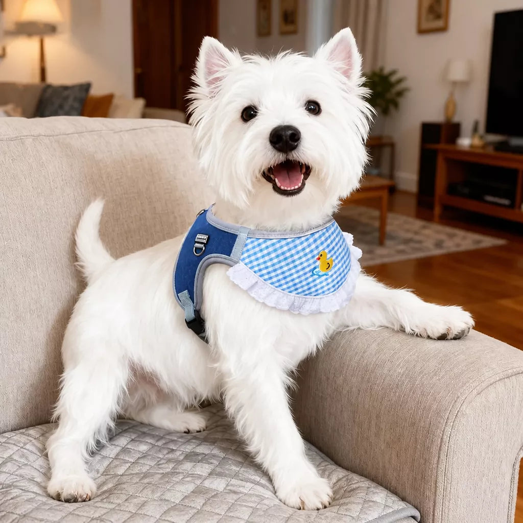 Nylon Vest-Style Dog Harness for Small to Medium Dogs