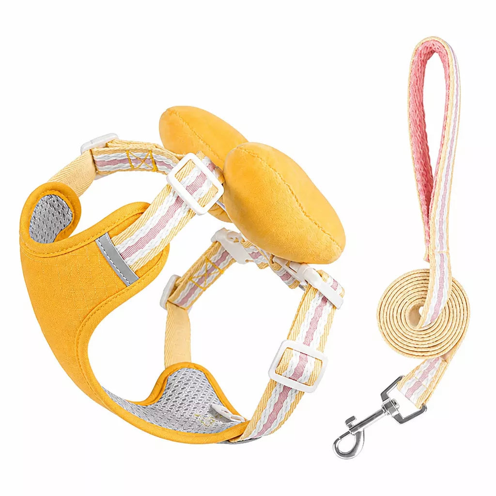 Small Dog Harness & Leash