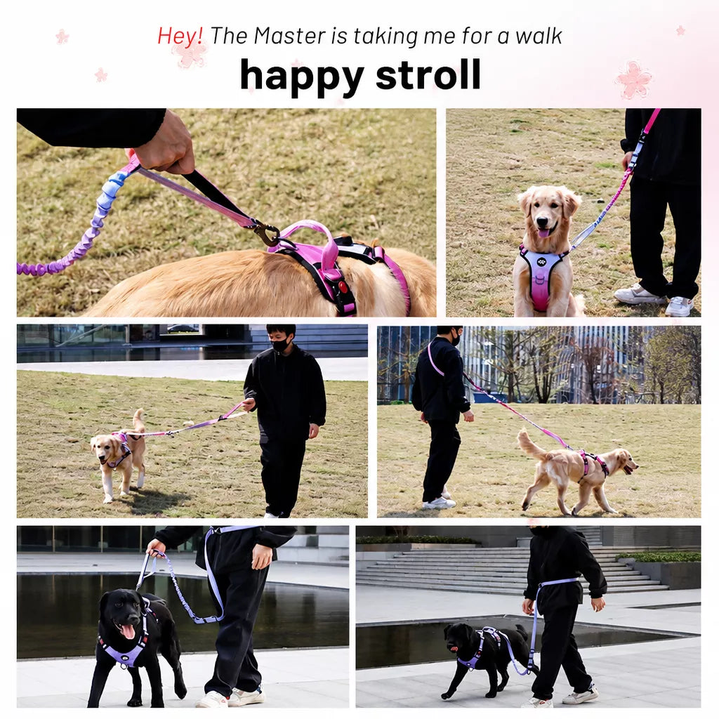 Crossbody Elastic Dog Leash