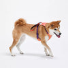 Nylon Harness with Integrated Retractable Leash for Dogs