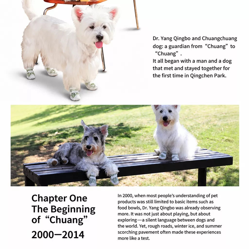 Dog Clog-Style Shoes for Outdoor Walks