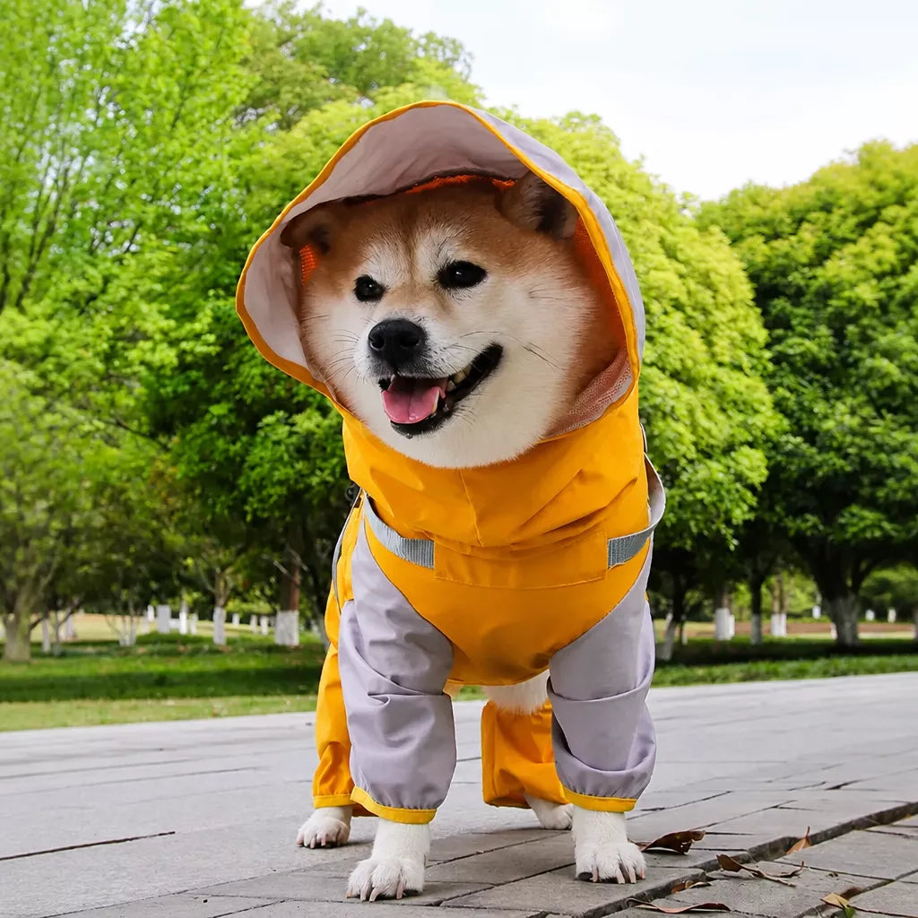 Hooded Four-Leg Dog Raincoat for Small to Medium Dogs