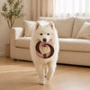 Latex Tug Toy for Dogs and Cats
