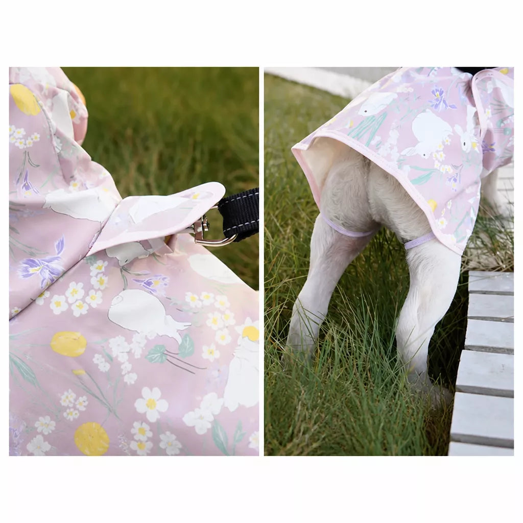 Dog Raincoat for Rainy-Day Walks
