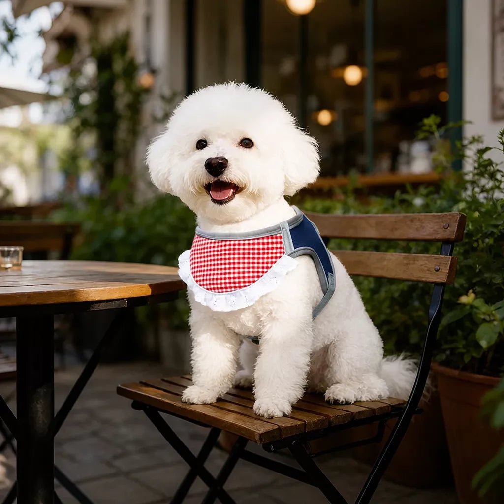 Nylon Vest-Style Dog Harness for Small to Medium Dogs
