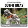 Adjustable Nylon Vest Harness with Magnetic Closure for Small Dogs