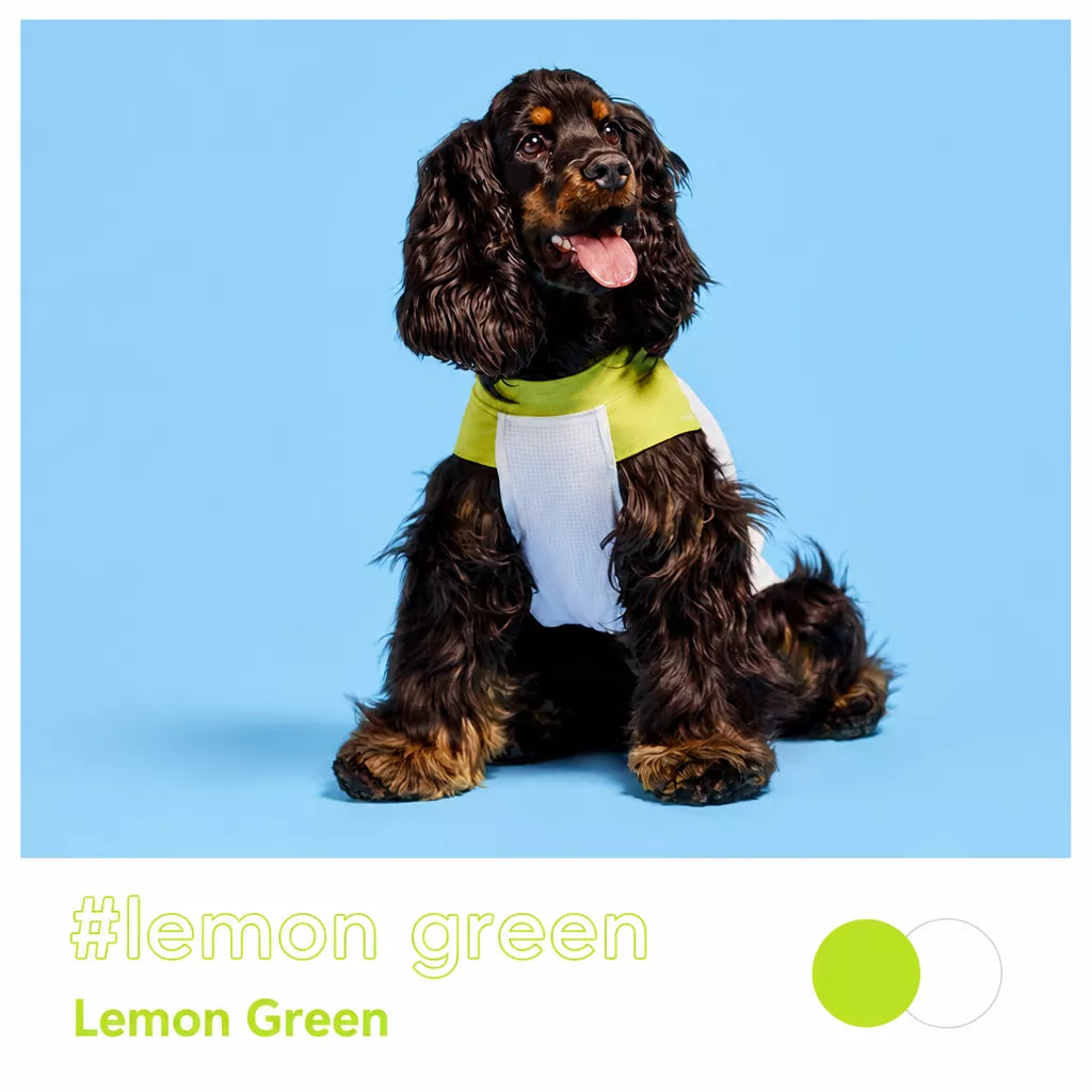 Lightweight Sleeveless Polyester Dog Vest
