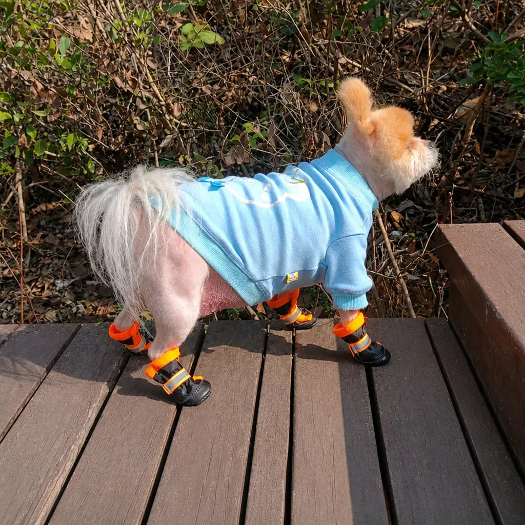 Mesh Dog Shoes with Soft Soles for Everyday Walks