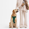 Nylon Harness with Integrated Retractable Leash for Dogs