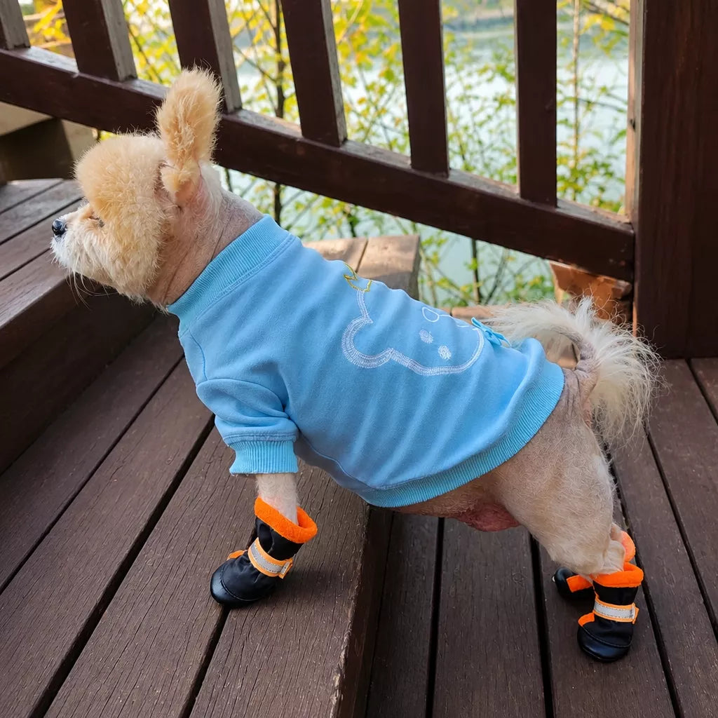 Mesh Dog Shoes with Soft Soles for Everyday Walks