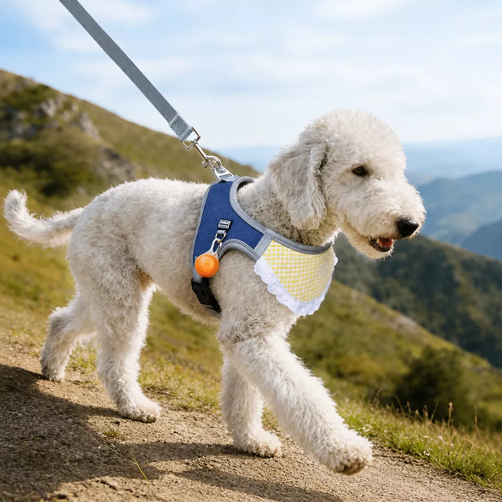 Nylon Vest-Style Dog Harness for Small to Medium Dogs