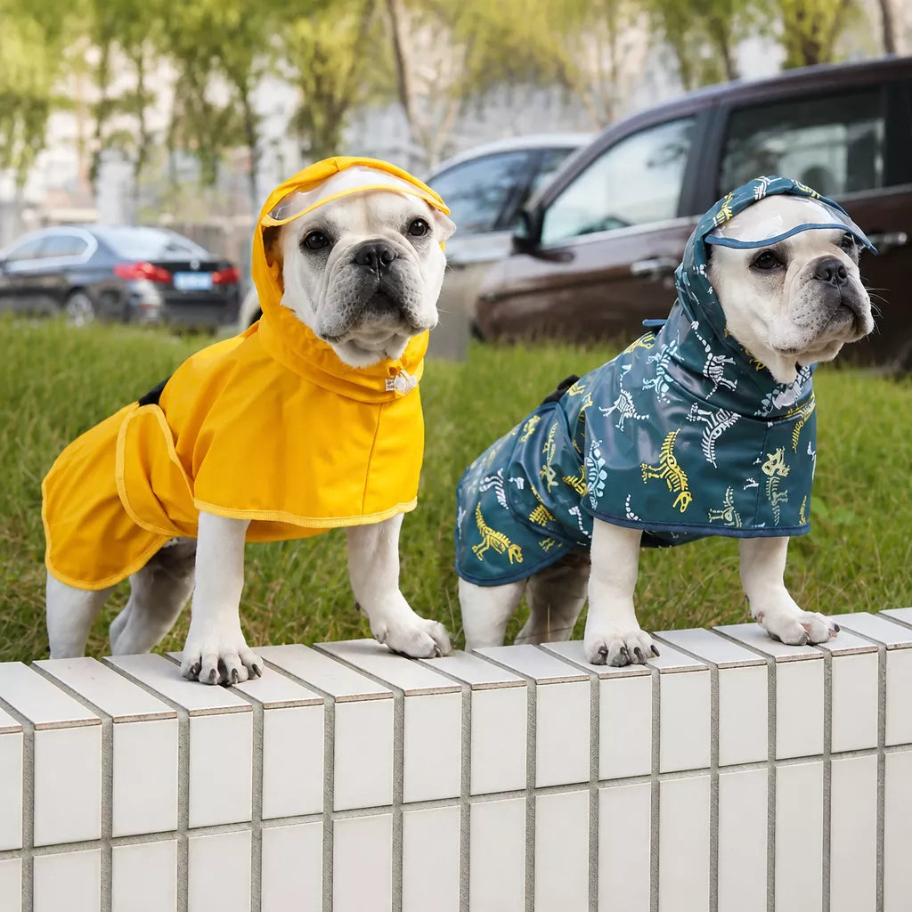 Dog Raincoat for Rainy-Day Walks