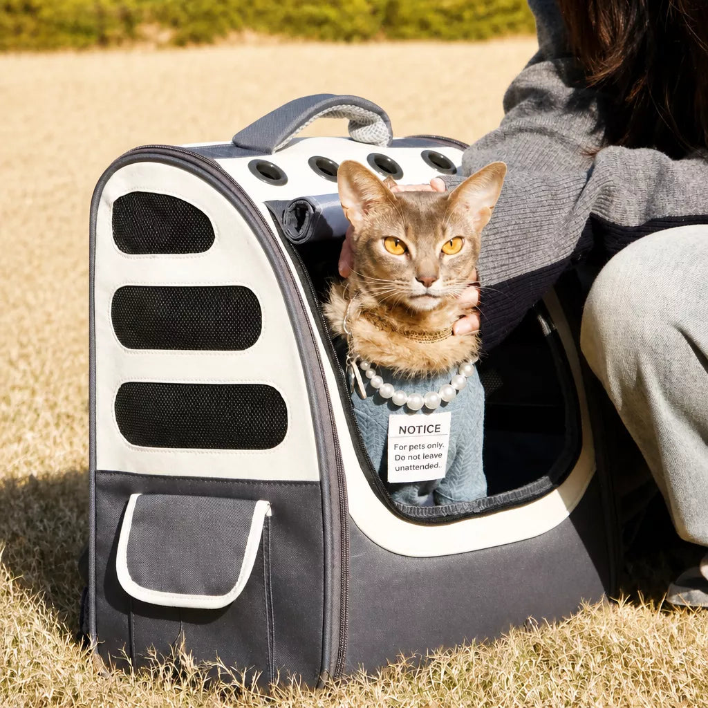 Large Pet Carrier Backpack for Cats and Dogs