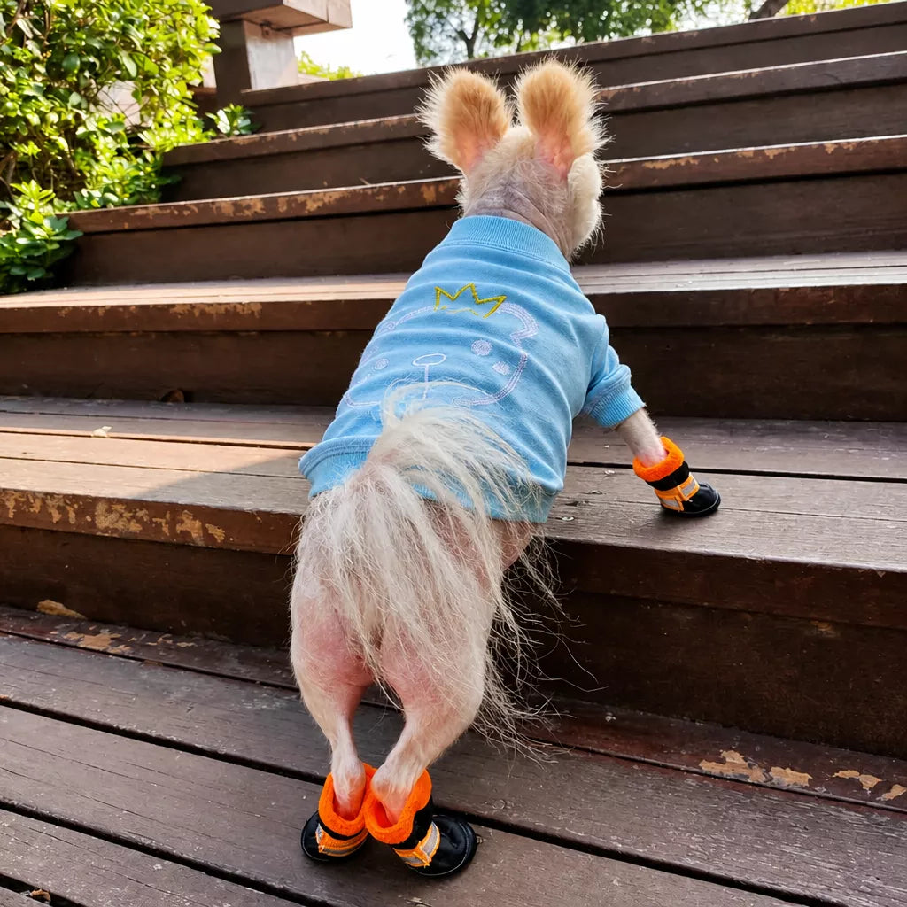 Mesh Dog Shoes with Soft Soles for Everyday Walks
