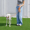 All-in-One Dog Collar and Leash
