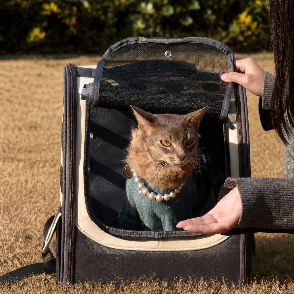 Large Pet Carrier Backpack for Cats and Dogs