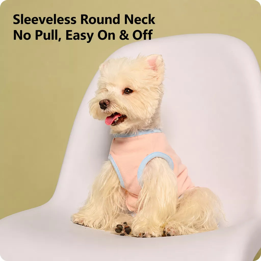 Lightweight Nylon Vest for Small and Medium Dogs