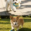 Nylon Dog Rope Tug Toy