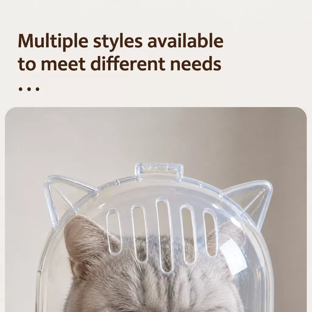 Clear Plastic Pet Recovery Cone for Cats