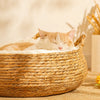 Woven Pet Bed for Cats and Small Dogs