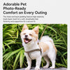 Small Dog Harness and Leash