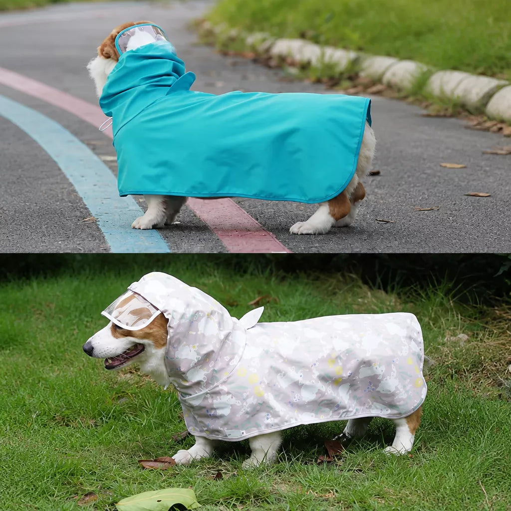 Dog Raincoat for Rainy-Day Walks