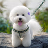 Small Dog Harness and Leash