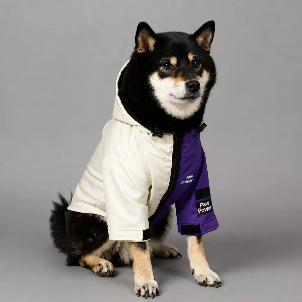 Dog Rain Jacket – Wind- and Water-Resistant Outdoor Coat