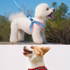Small Dog Harness and Leash