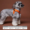 Adjustable Nylon Vest Harness with Magnetic Closure for Small Dogs