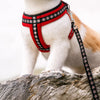 Small Dog Harness and Leash