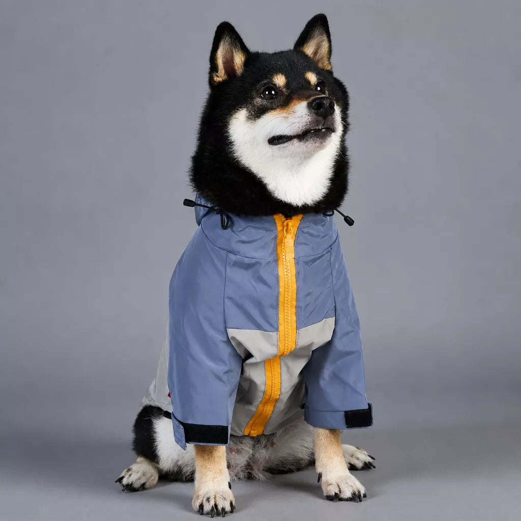 Dog Rain Jacket – Wind- and Water-Resistant Outdoor Coat