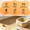Rechargeable Interactive Cat Toy with Mouse and Car Designs