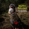 Floating Foam Ball Toy for Dogs
