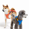Nylon Harness with Integrated Retractable Leash for Dogs