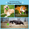 Vinyl Squeaky Dog Ball Toy