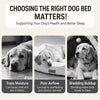 Raised Dog Cot Bed with Removable Washable Cover
