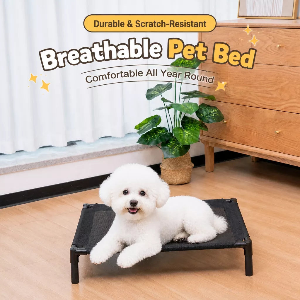 Elevated Dog & Cat Bed with Removable, Washable Pad