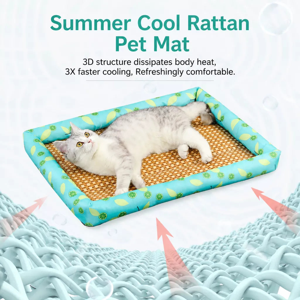 All-Season Pet Bed for Cats and Dogs