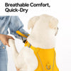 Lightweight Breathable Dog Harness and Leash