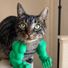 3D-Printed Arm-Inspired Neck Accessory for Cats and Dogs