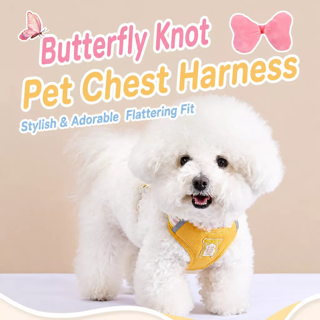 Small Dog Harness & Leash